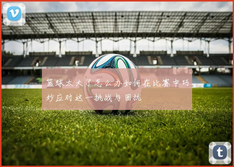 篮球太大了怎么办如何在比赛中巧妙应对这一挑战与困扰
