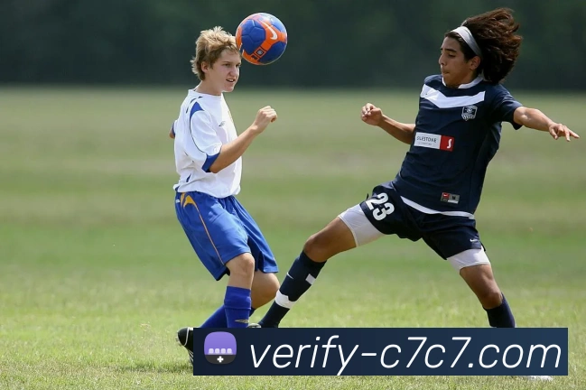 C7C7.APP平台生态图